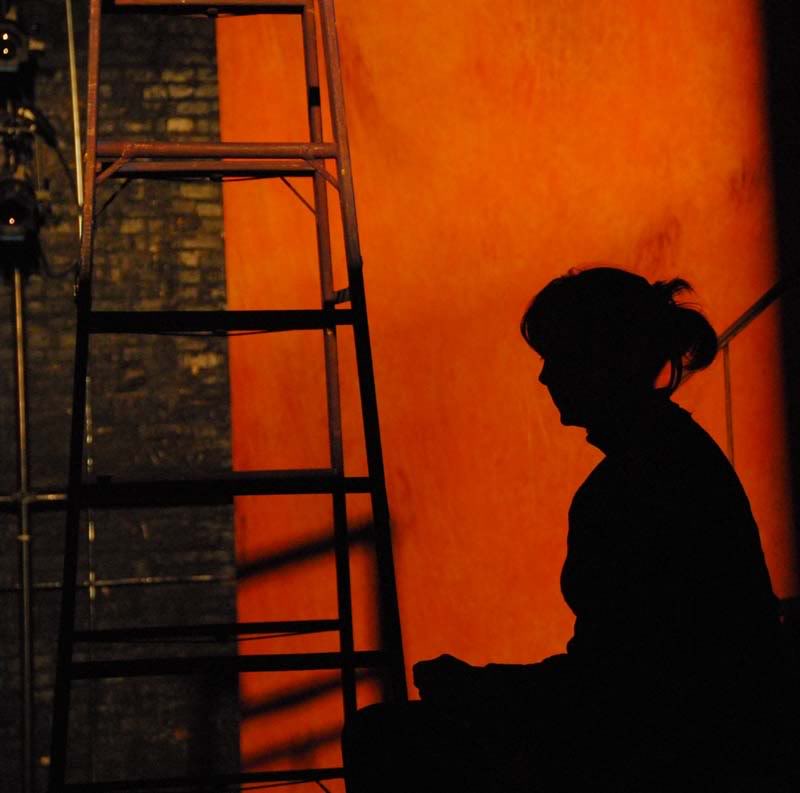 a photo of Shelley Hicklin in silhouette against an orange background and a ladder